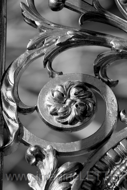 Wall_Art_Alphabet_Photography_Art_ 726.jpg